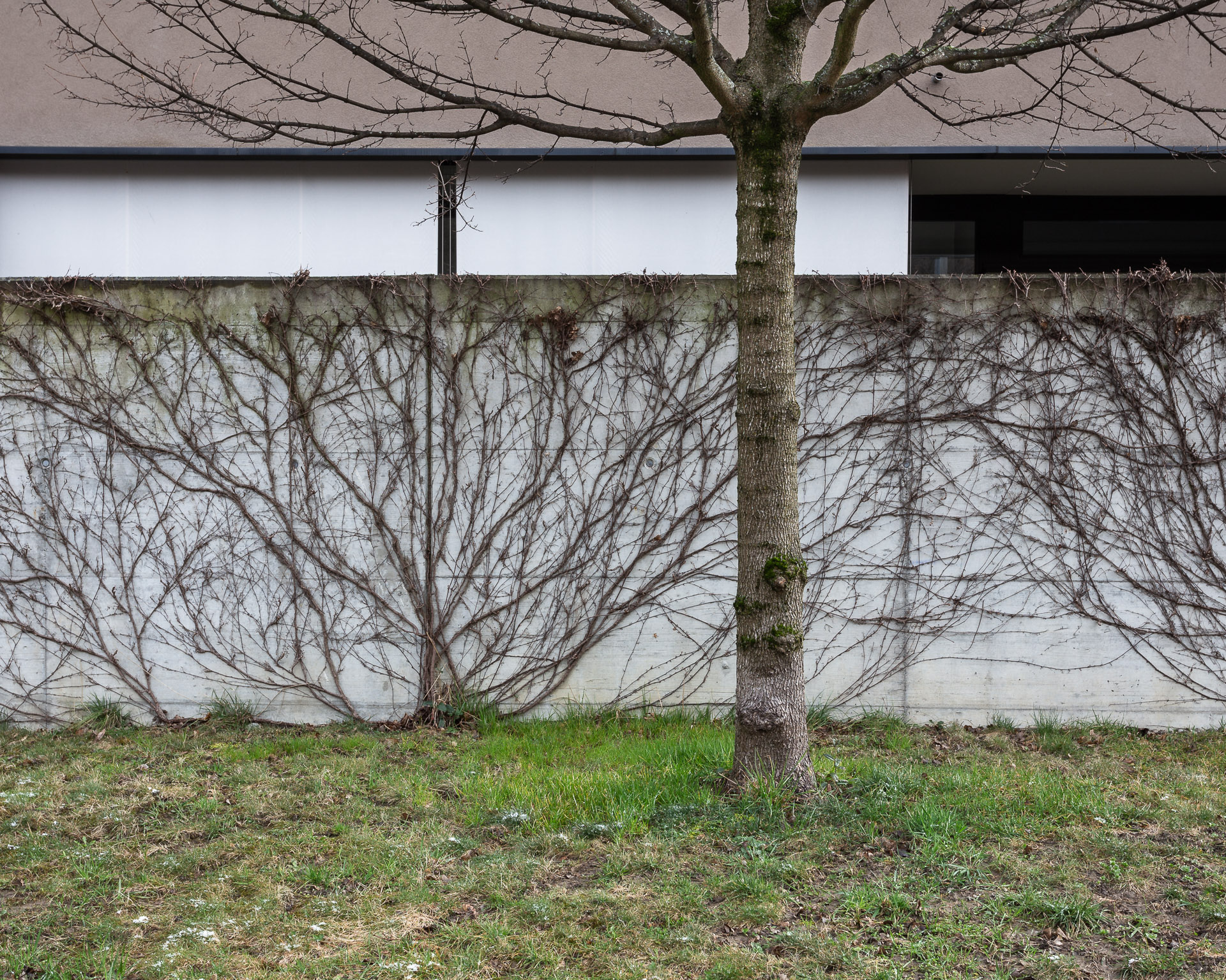 Architekturfotografie-Reussinsel-aussen